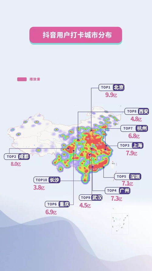 抖音粉丝数量的计算与提升策略