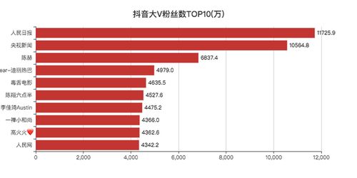 抖音粉丝排名查看方法及SEO优化策略