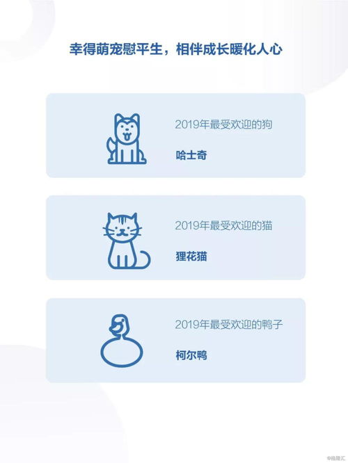 抖音上如何高效抽取幸运粉丝？