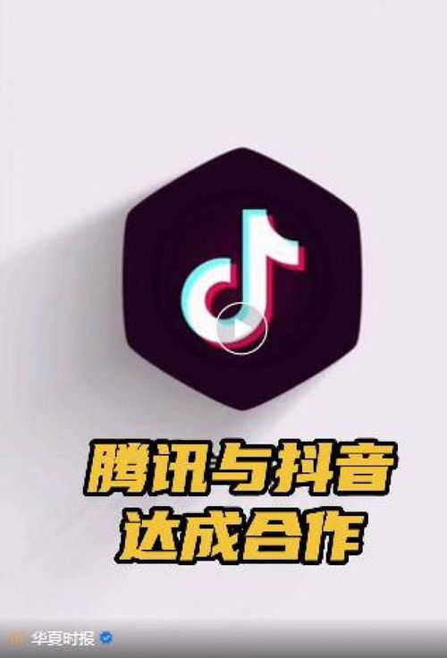 抖音阅读量与播放量的深度解析