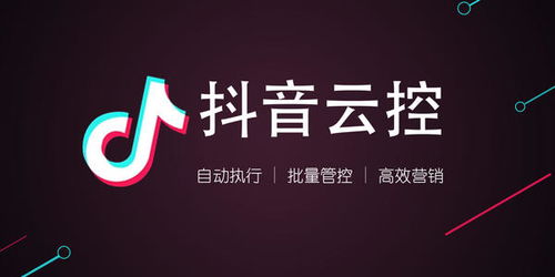 抖音偶像追星秘籍：轻松成为心仪偶像的忠实粉丝