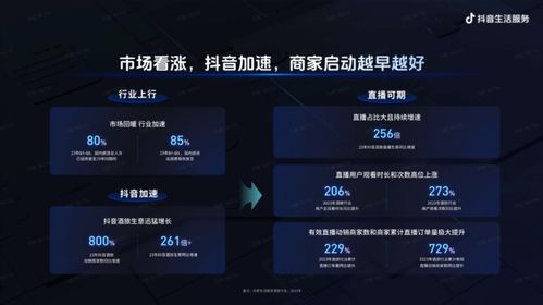 抖音视频点赞者查询方法全解析