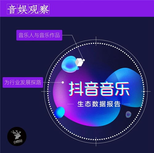 抖音如何查看共同粉丝：详细指南