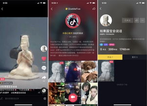 抖音粉丝追踪器使用指南：轻松掌握粉丝动态