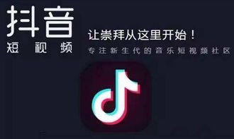 如何高效查看抖音粉丝数据，助力内容创作与传播