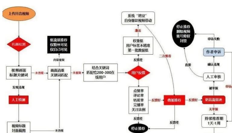 新手轻松快速掌握抖音推荐算法核心技巧