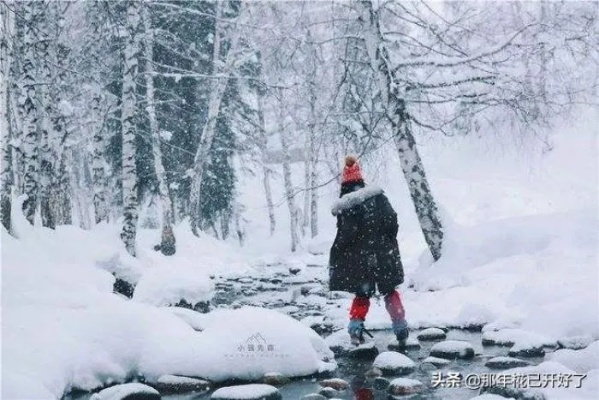 郑州疫情下雪文案抖音（下雪疫情的句子）