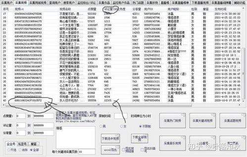 抖音粉丝级别查询指南：快速了解你的粉丝等级