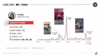 如何精准提升抖音粉丝质量：策略与技巧