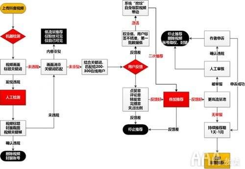 抖音粉丝群像：如何精准形容广大的抖音追随者？