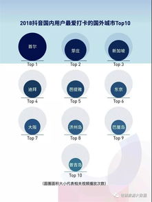 纹身师抖音粉丝增长攻略：定位与策略并重