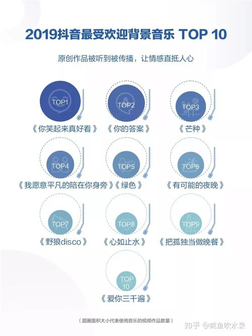 玩转抖音：新手如何快速吸粉攻略