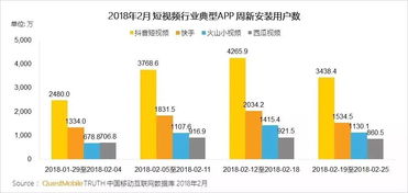 抖音有效粉丝增长策略：从入门到精通