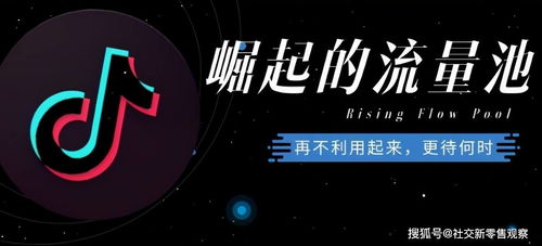 麻辣粉丝抖音制作技巧：视频内容创作与SEO优化策略