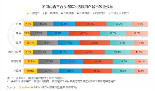 抖音如何高效提升播放量与点赞量：策略与方法解析