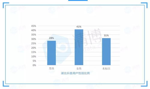 抖音粉丝增长攻略：如何有效圈粉提升影响力