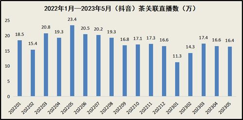 抖音粉丝增长秘诀：打造个人品牌与吸粉策略