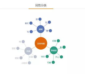 如何准确查询抖音有效粉丝？专业网站推荐与分析