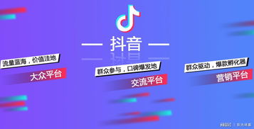 头条与抖音同步粉丝的实用策略