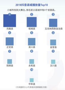 抖音随拍粉丝占比高，如何优化内容策略提升互动？