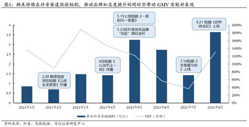 抖音精确粉丝寻找指南：教你如何定位并吸引目标粉丝群